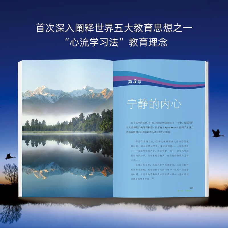 心流学习法：在深度自然游戏中，唤醒身心潜能    自然教育之父约瑟夫里程碑力作详情图