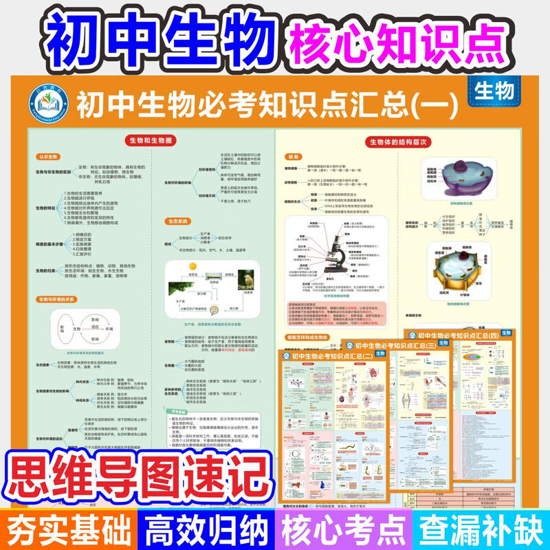 2025全新正版初中历史知识点归纳总结人教版思维导图挂图墙贴全套中考复习资料 历史9件套【超值】