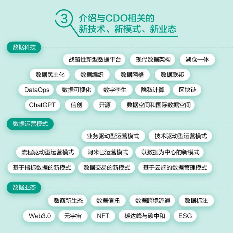 首席数据官知识体系指南（异步图书出品）详情图