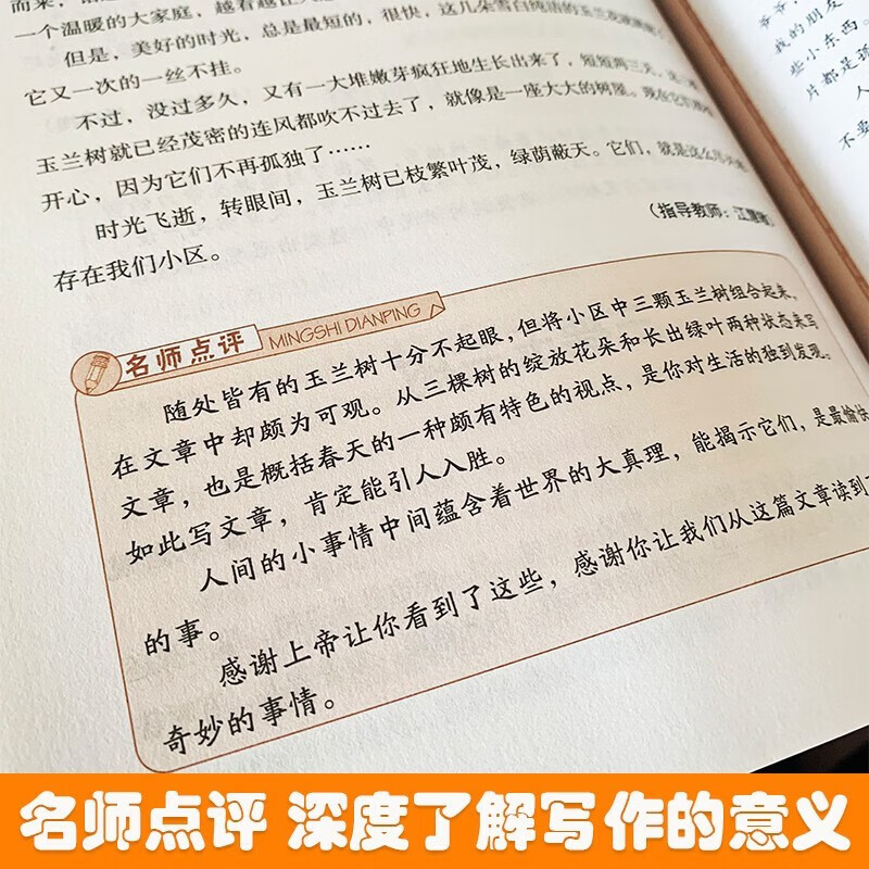 思维导图 小学生满分作文 小学通用 小学生优秀作文满分作文素材书小学三四五六年级作文辅导获奖作文范文例文赏析满分作文大全详情图