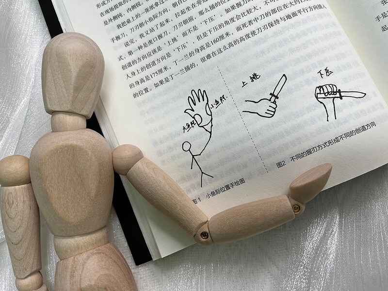 法医秦明.幸存者（畅销600万册原创悬疑品牌，法医秦明十周年典藏版！，芒果台热播综艺_初入职场的我们_法医季） 小说