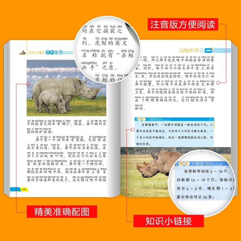 【全6册】写给儿童百科全书：动物世界恐龙帝国昆虫奥秘鸟类王国海洋生物植物乐园 中国少年儿童科普类书籍详情图