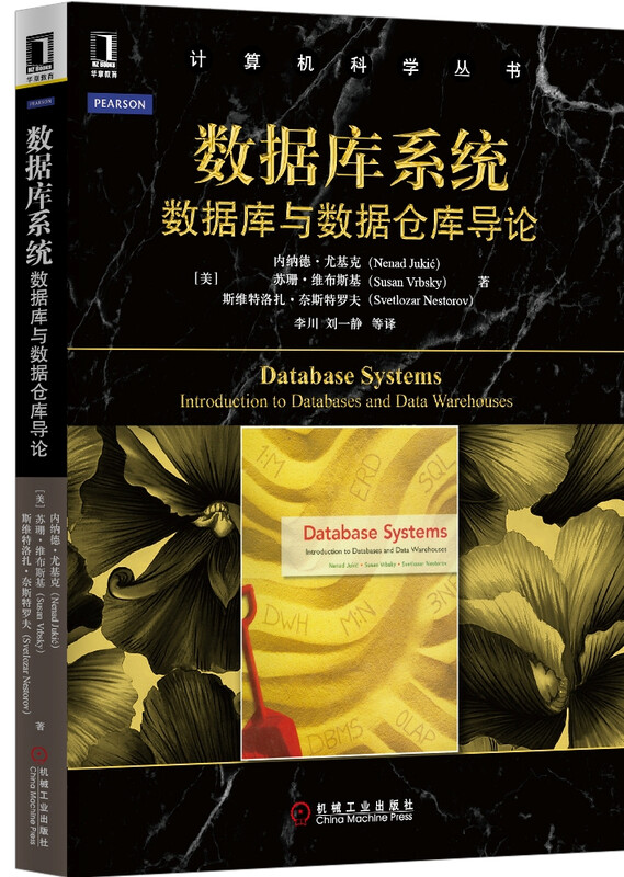 数据库系统：数据库与数据仓库导论详情图