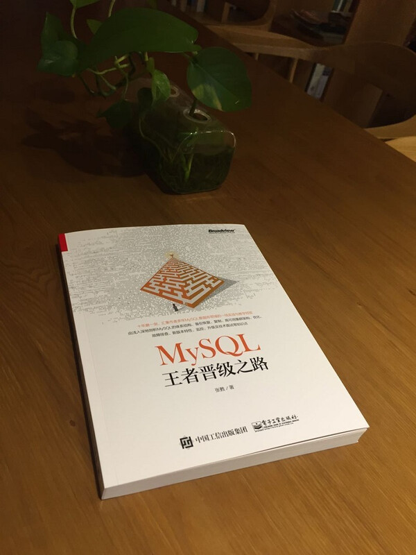 MySQL王者晋级之路(博文视点出品)详情图