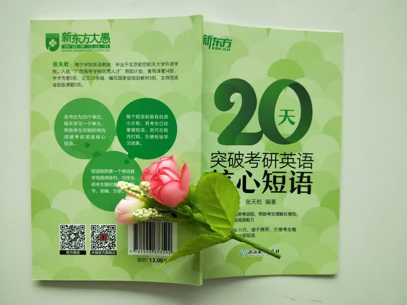 新东方 20天突破考研英语核心短语 张天乾 英语一英语二通用 考研英语历年真题短语 考研词汇英语一二适用可搭英语黄皮书恋练有词恋词详情图