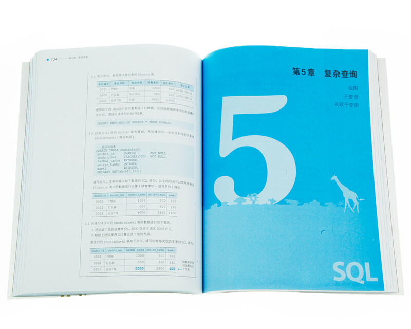 图灵程序设计丛书：SQL基础教程(图灵出品）详情图