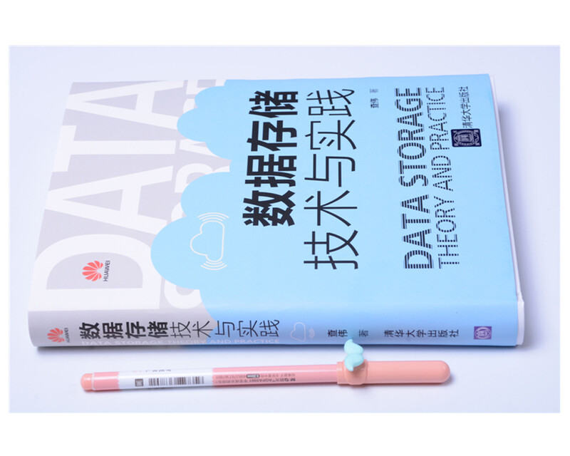 数据存储技术与实践详情图