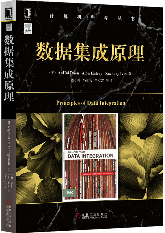 计算机科学丛书：数据集成原理详情图
