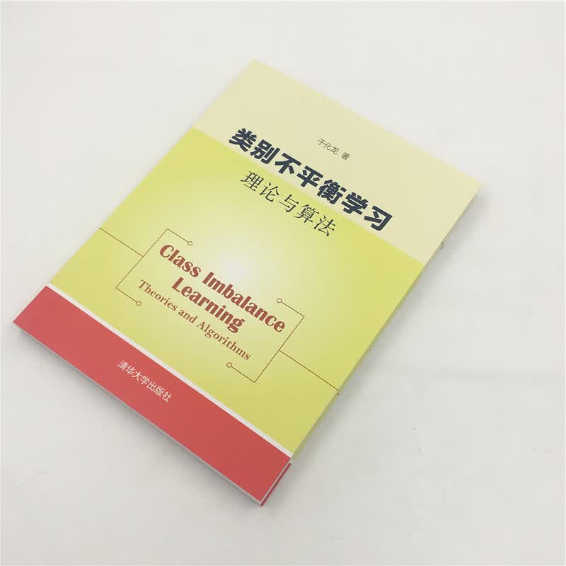 类别不平衡学习：理论与算法详情图