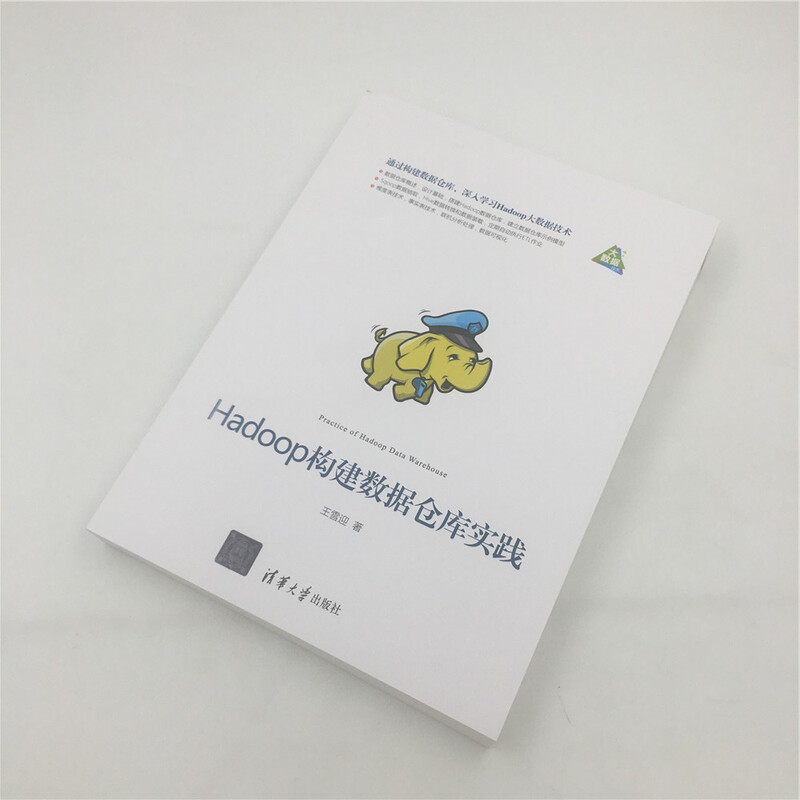 Hadoop构建数据仓库实践详情图