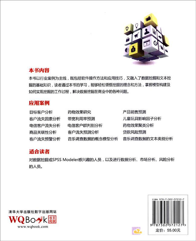 IBM SPSS Modeler数据与文本挖掘实战详情图