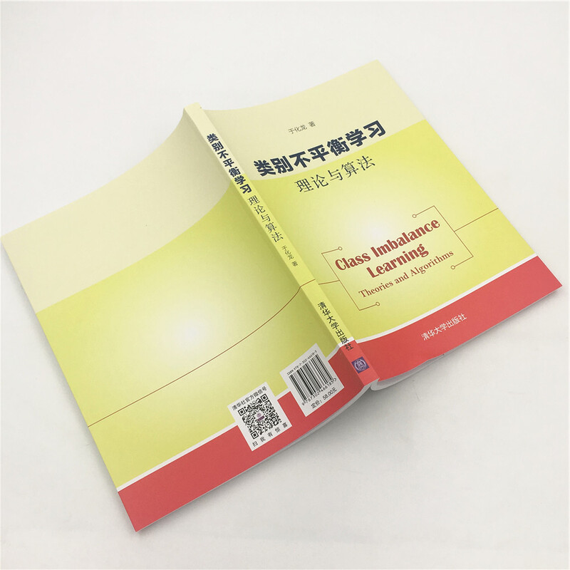 类别不平衡学习：理论与算法详情图