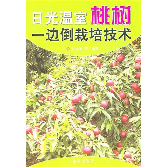 日光温室桃树一边倒栽培技术