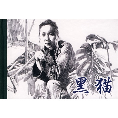 连环画精装品鉴赏：黑猫 小人书