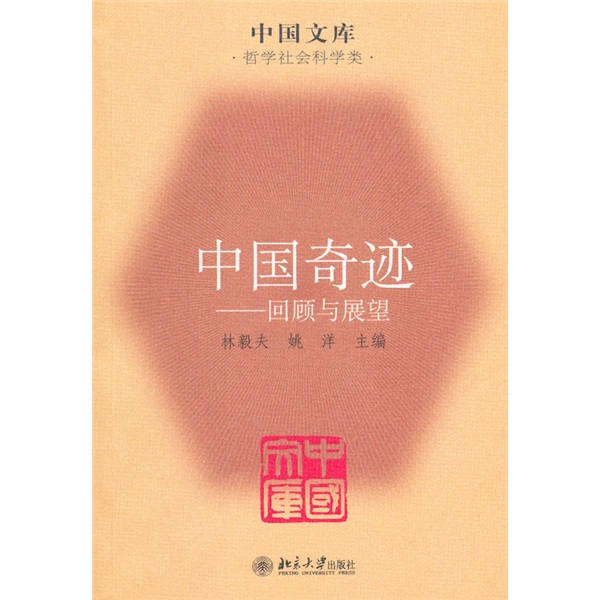 中国奇迹:回顾与展望9787301165