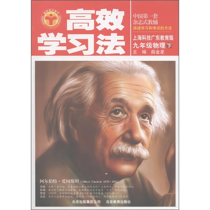 高效学习法：9年级物理（下）（上海科技广东教育版）封面