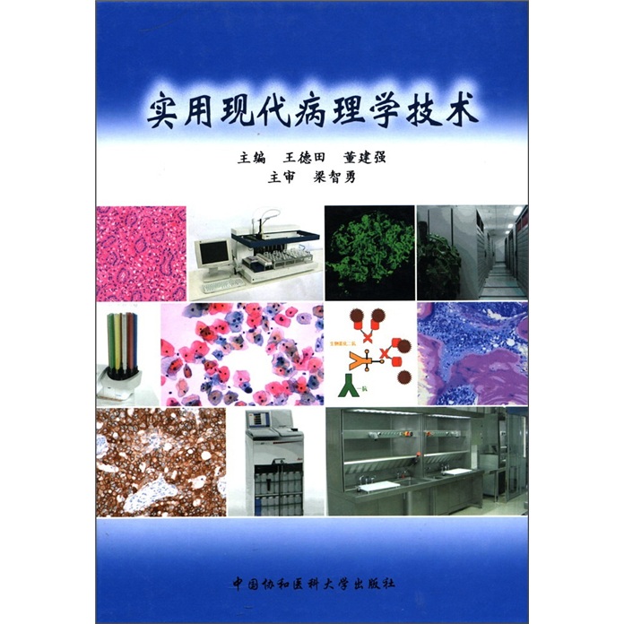 实用现代病理学技术