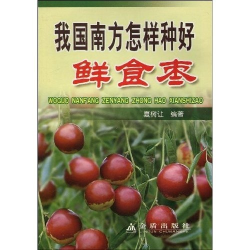 我国南方怎样种好鲜食枣