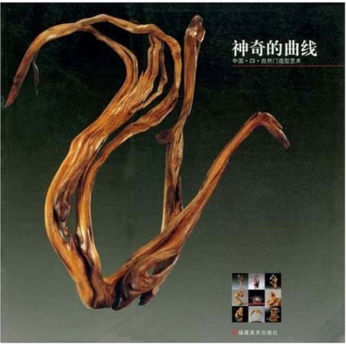神奇的曲线：中国ZS自然门造型艺术