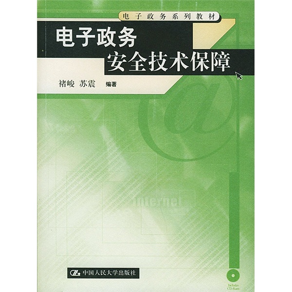 正版现货 电子政务安全技术保障9787300053134