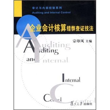 企业会计核算错弊查证技法