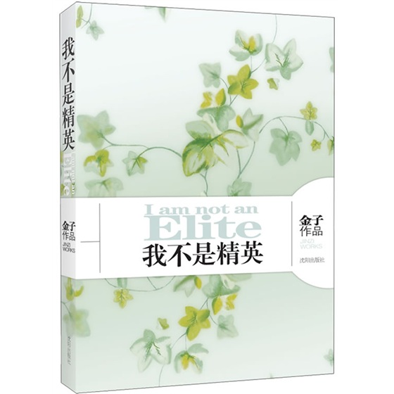 正版现货 我不是精英9787544140591沈阳