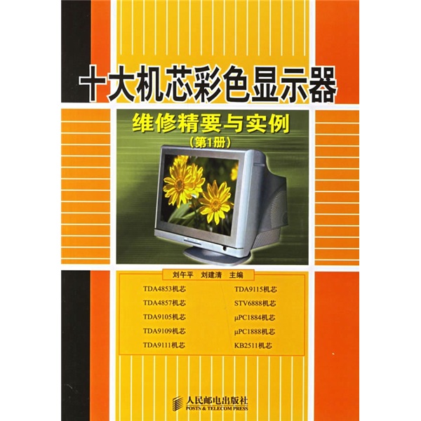 十大机芯彩色显示器维修精要与实例（第1册）