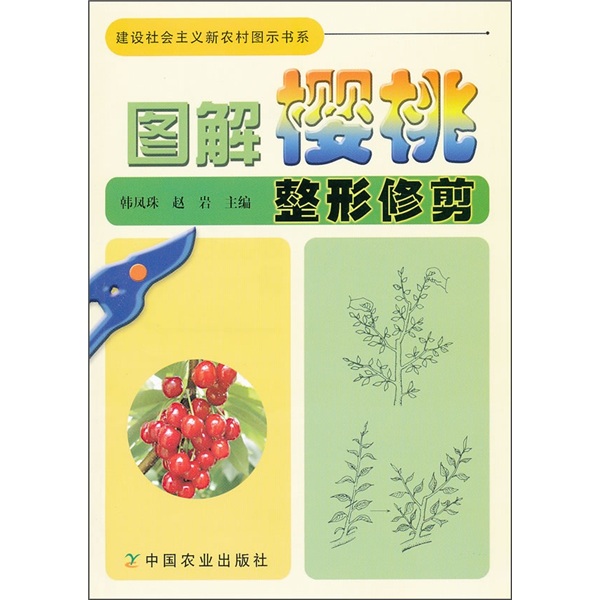 图解樱桃整形修剪