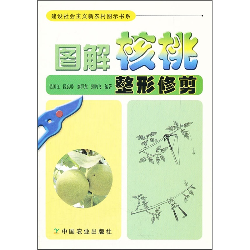 图解核桃整形修剪