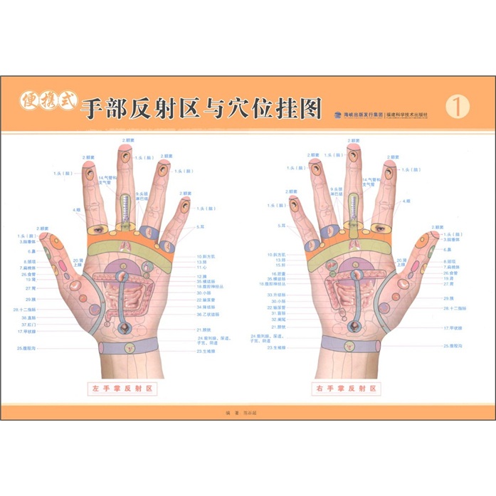 便携式手部反射区与穴位挂图（套装共4张）
