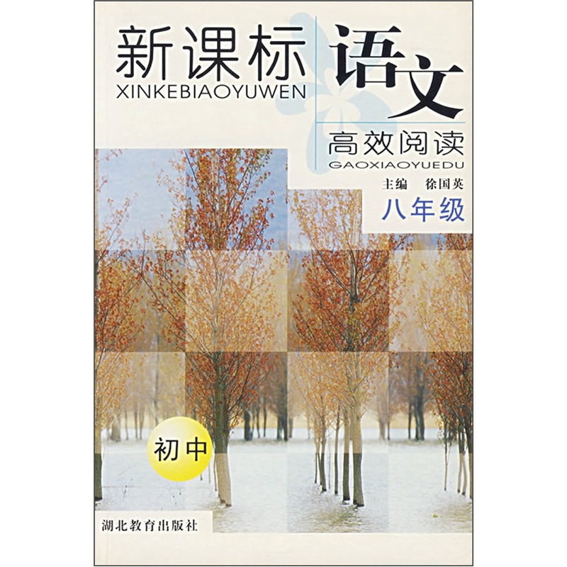 新课标语文高效阅读（8年级）（初中）封面