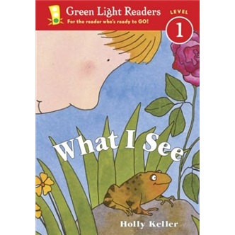 What I See 我看到了什么