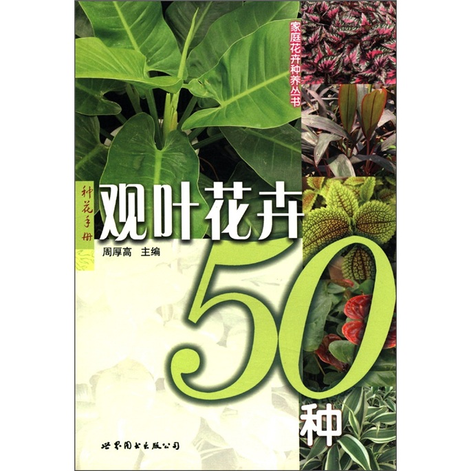观叶花卉50种
