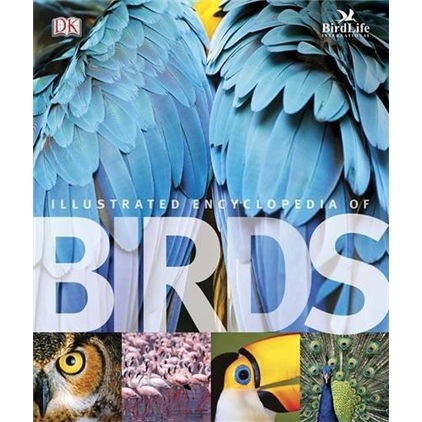 The Illustrated Encyclopedia of Birds. 进口儿童绘本
