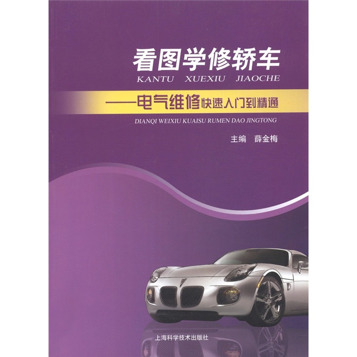 看图学修轿车：电气维修快速入门到精通