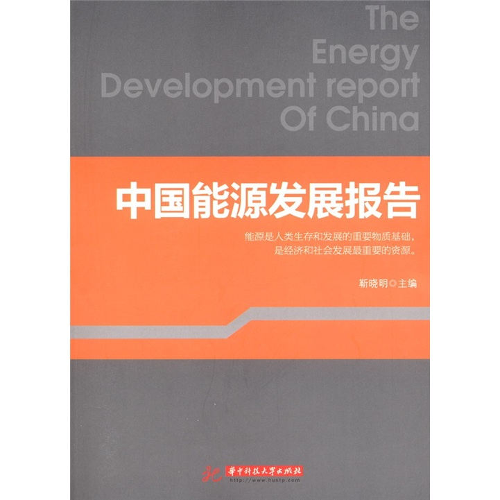 中国能源发展报告