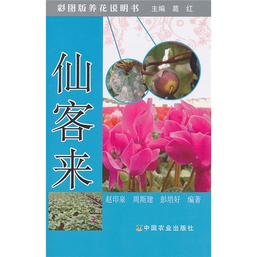 彩图版养花说明书：仙客来
