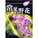 常见野花