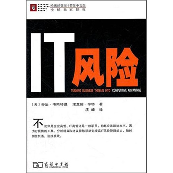 [正版图书]IT风险