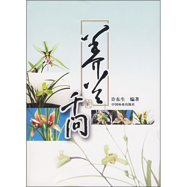 养兰千问