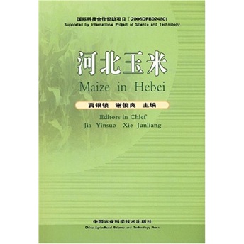 河北玉米