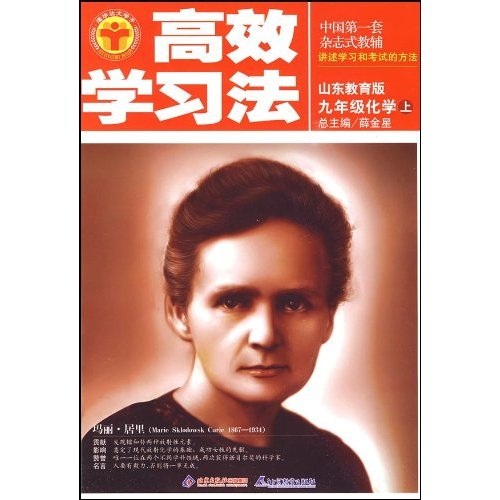 高效学习：9年级化学（上）（山东教育版）封面