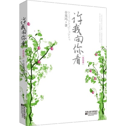 许我向你看（终结版）