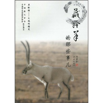 藏羚羊的那些事儿