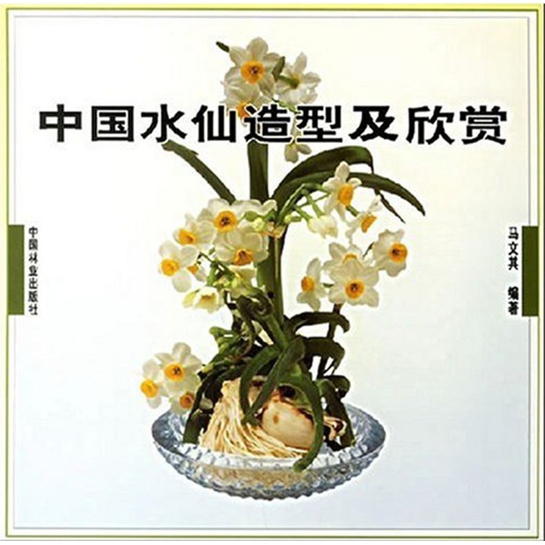 正版现货 中国水仙造型及欣赏9787503820342