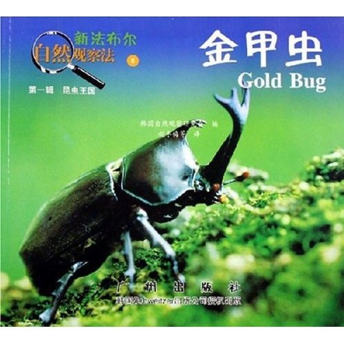 新法布尔自然观察法:蚂蚁11(第1辑)(昆虫王国)