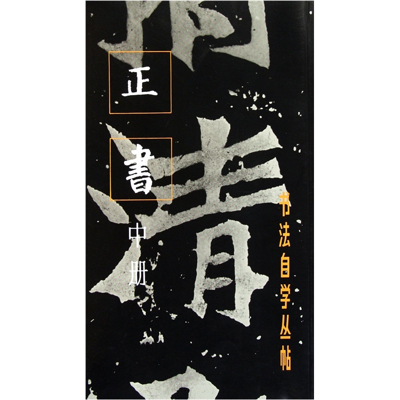 书法自学丛帖:正书(中册)