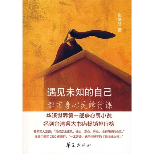 正版现货 华语世界第一部身心灵小说.海峡两岸销量突破100万册：遇见未知的自己.都市身心灵修行课9