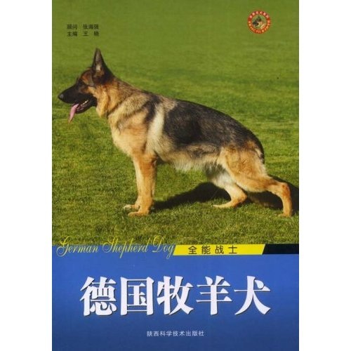 德国牧羊犬：全能战士