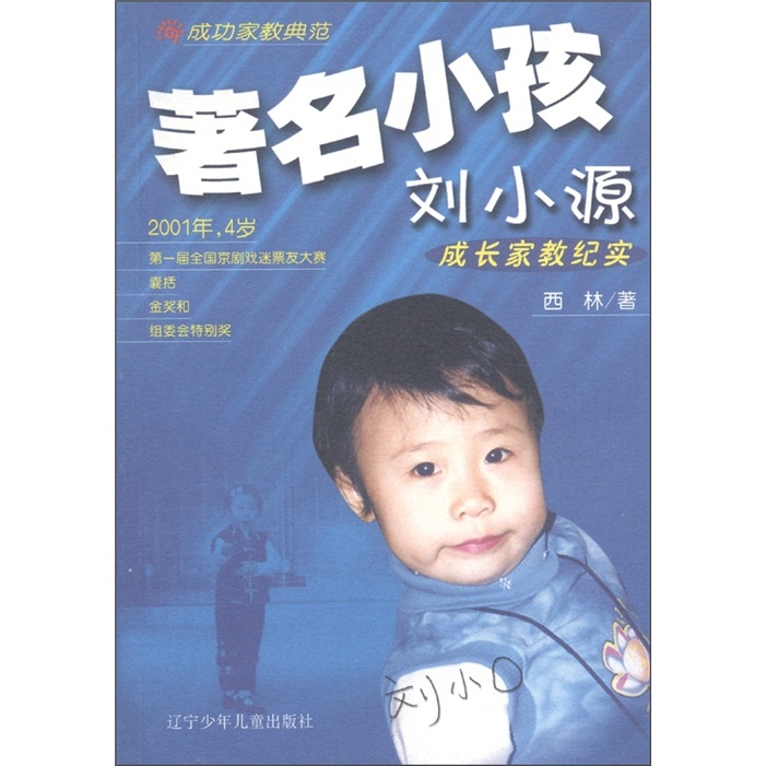 成功家教典范：著名小孩刘小源成长家教纪实